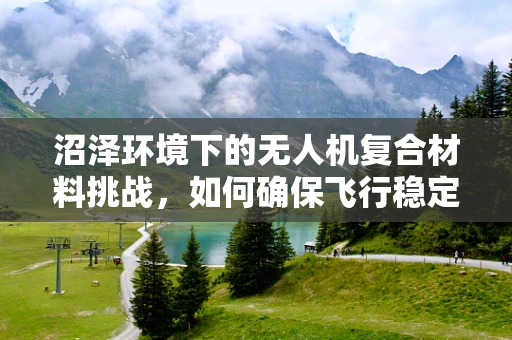 沼泽环境下的无人机复合材料挑战，如何确保飞行稳定与耐用性？