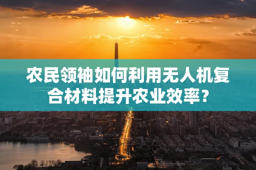 农民领袖如何利用无人机复合材料提升农业效率？