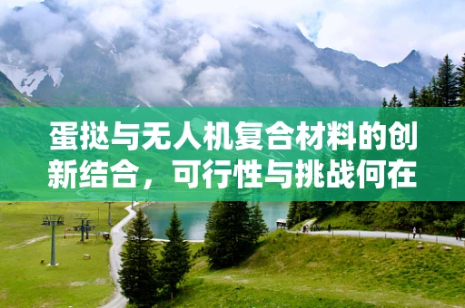 蛋挞与无人机复合材料的创新结合，可行性与挑战何在？