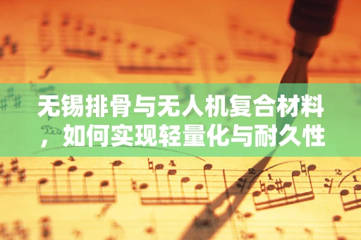 无锡排骨与无人机复合材料，如何实现轻量化与耐久性的完美结合？