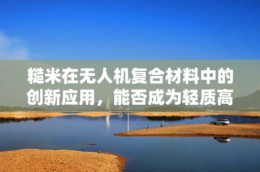 糙米在无人机复合材料中的创新应用，能否成为轻质高强的新星？