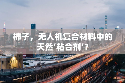 柿子，无人机复合材料中的天然‘粘合剂’？