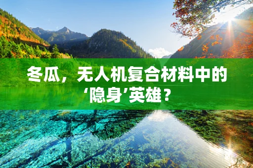 冬瓜，无人机复合材料中的‘隐身’英雄？