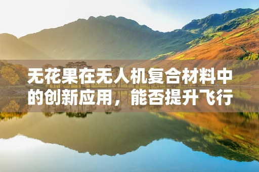 无花果在无人机复合材料中的创新应用，能否提升飞行性能？