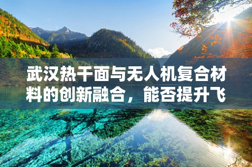 武汉热干面与无人机复合材料的创新融合，能否提升飞行稳定性？