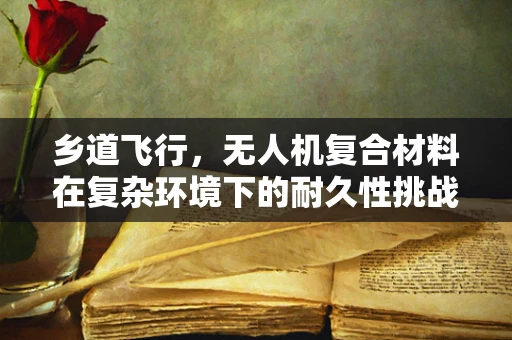 乡道飞行，无人机复合材料在复杂环境下的耐久性挑战