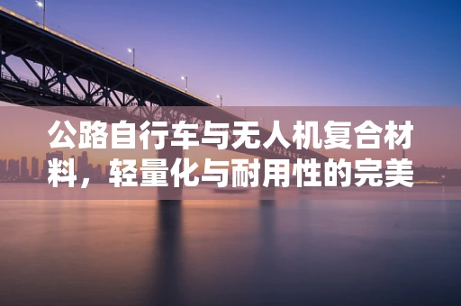 公路自行车与无人机复合材料，轻量化与耐用性的完美平衡？