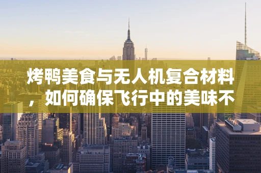 烤鸭美食与无人机复合材料，如何确保飞行中的美味不掉链子？