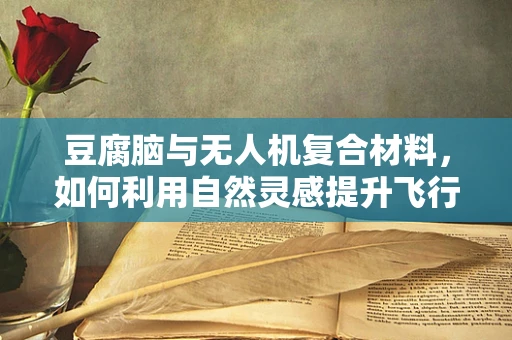 豆腐脑与无人机复合材料，如何利用自然灵感提升飞行器韧性？