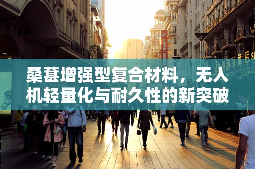桑葚增强型复合材料，无人机轻量化与耐久性的新突破？