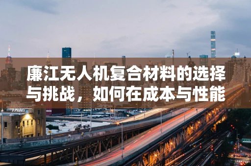 廉江无人机复合材料的选择与挑战，如何在成本与性能间找到最佳平衡？