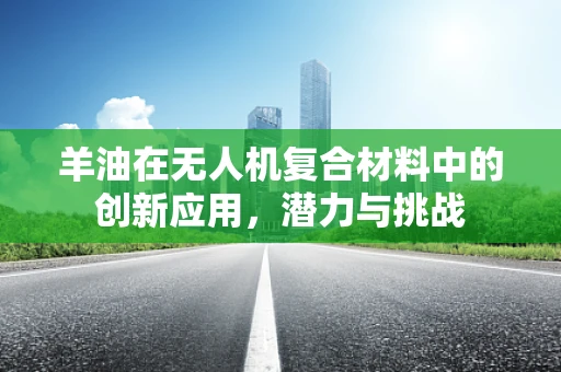 羊油在无人机复合材料中的创新应用，潜力与挑战
