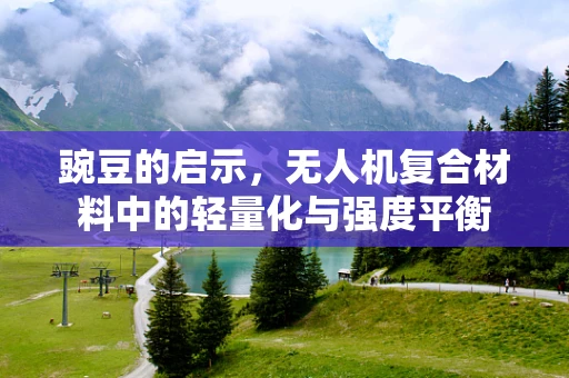 豌豆的启示，无人机复合材料中的轻量化与强度平衡