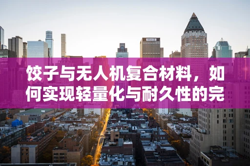 饺子与无人机复合材料，如何实现轻量化与耐久性的完美结合？