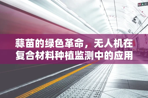 蒜苗的绿色革命，无人机在复合材料种植监测中的应用？