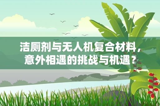 洁厕剂与无人机复合材料，意外相遇的挑战与机遇？