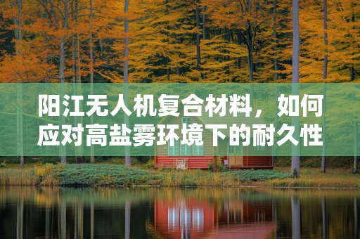 阳江无人机复合材料，如何应对高盐雾环境下的耐久性挑战？