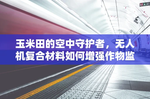 玉米田的空中守护者，无人机复合材料如何增强作物监测的精准度？