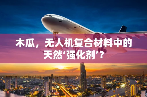 木瓜，无人机复合材料中的天然‘强化剂’？