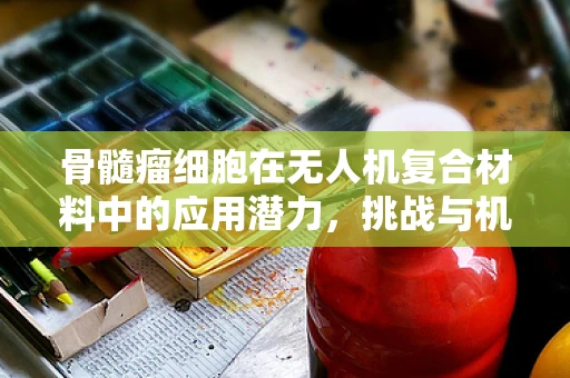骨髓瘤细胞在无人机复合材料中的应用潜力，挑战与机遇并存