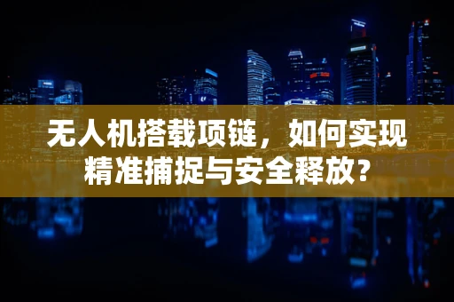 无人机搭载项链，如何实现精准捕捉与安全释放？