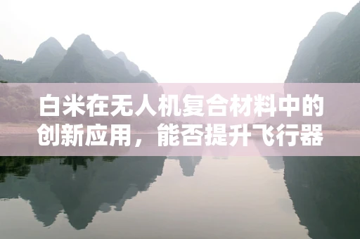 白米在无人机复合材料中的创新应用，能否提升飞行器轻量化的新路径？