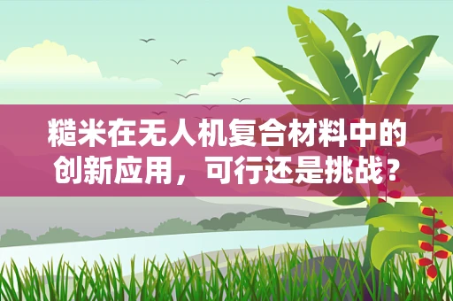 糙米在无人机复合材料中的创新应用，可行还是挑战？