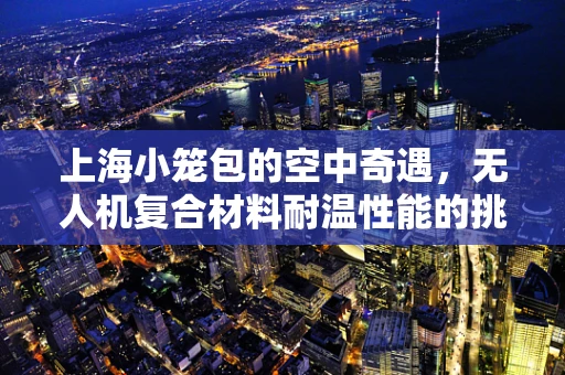 上海小笼包的空中奇遇，无人机复合材料耐温性能的挑战与应对
