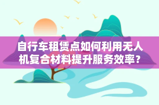 自行车租赁点如何利用无人机复合材料提升服务效率？