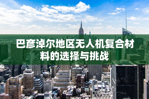 巴彦淖尔地区无人机复合材料的选择与挑战