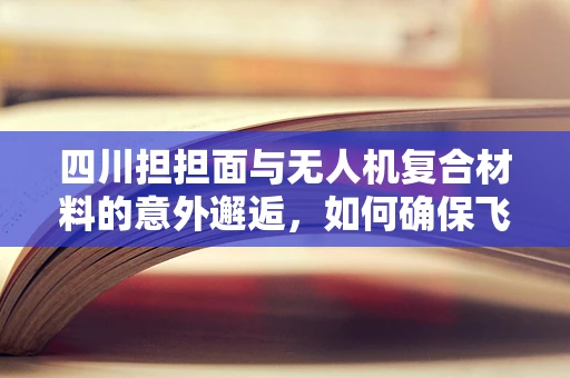 四川担担面与无人机复合材料的意外邂逅，如何确保飞行中的美味不‘掉链子’？
