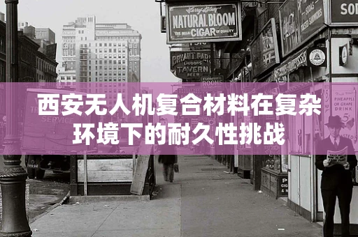 西安无人机复合材料在复杂环境下的耐久性挑战