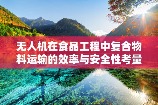无人机在食品工程中复合物料运输的效率与安全性考量