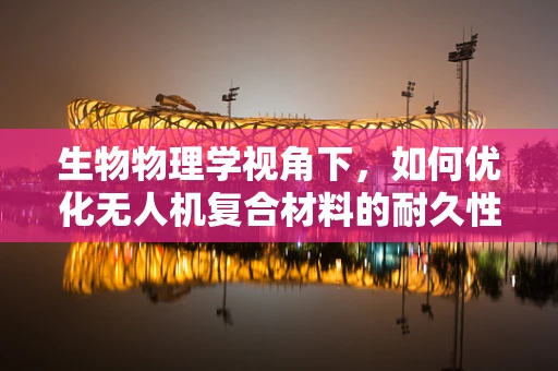 生物物理学视角下，如何优化无人机复合材料的耐久性与轻量化？