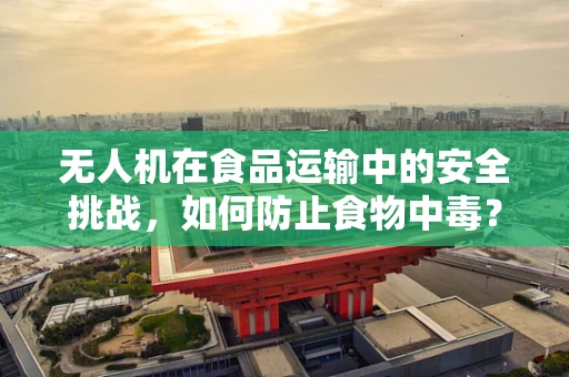 无人机在食品运输中的安全挑战，如何防止食物中毒？
