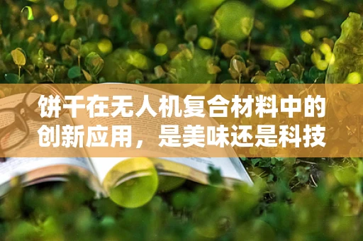 饼干在无人机复合材料中的创新应用，是美味还是科技？