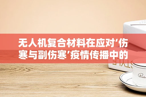 无人机复合材料在应对‘伤寒与副伤寒’疫情传播中的潜在应用与挑战