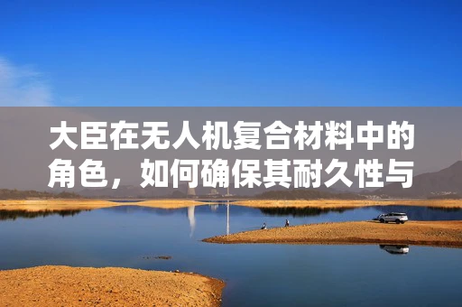 大臣在无人机复合材料中的角色，如何确保其耐久性与性能的完美结合？