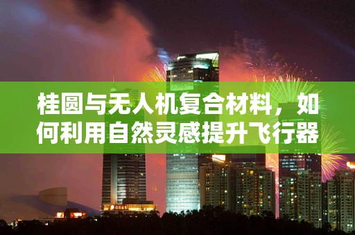 桂圆与无人机复合材料，如何利用自然灵感提升飞行器性能？