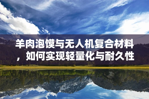羊肉泡馍与无人机复合材料，如何实现轻量化与耐久性的完美结合？