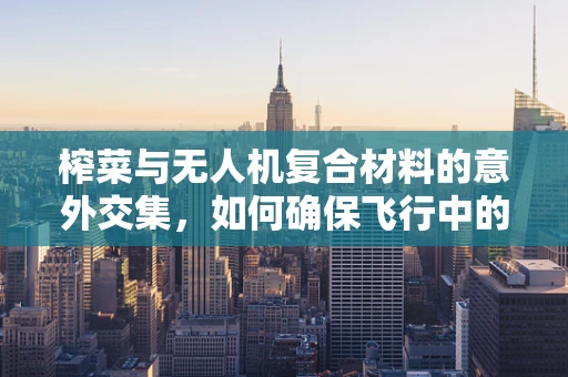榨菜与无人机复合材料的意外交集，如何确保飞行中的风味不散？