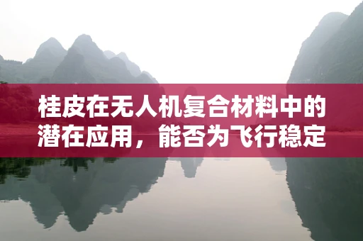 桂皮在无人机复合材料中的潜在应用，能否为飞行稳定性带来惊喜？