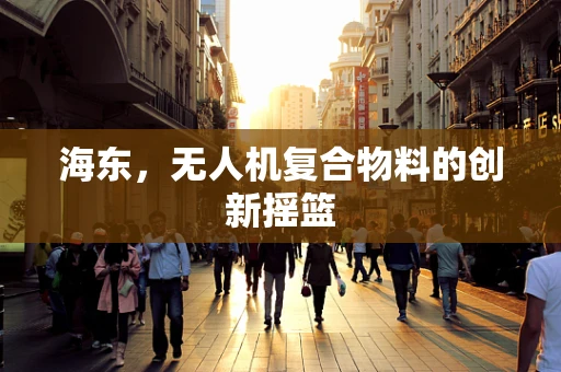 海东，无人机复合物料的创新摇篮