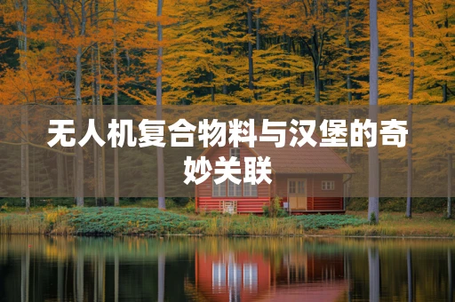 无人机复合物料与汉堡的奇妙关联