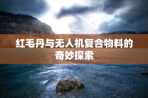 红毛丹与无人机复合物料的奇妙探索