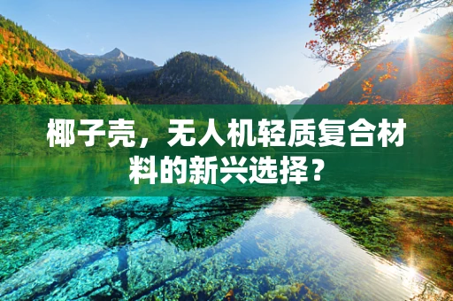 椰子壳，无人机轻质复合材料的新兴选择？