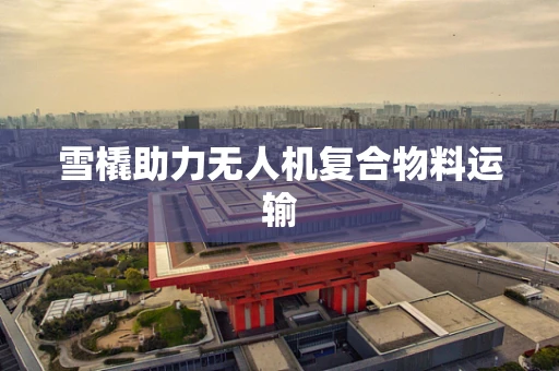 雪橇助力无人机复合物料运输