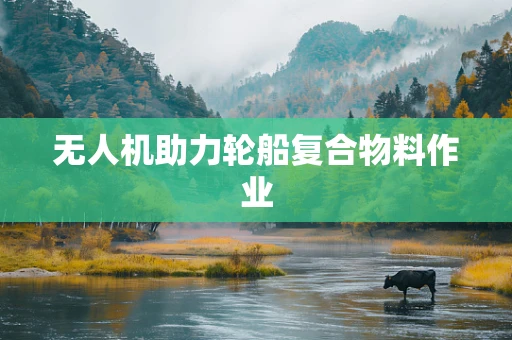 无人机助力轮船复合物料作业