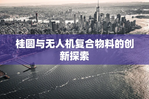 桂圆与无人机复合物料的创新探索