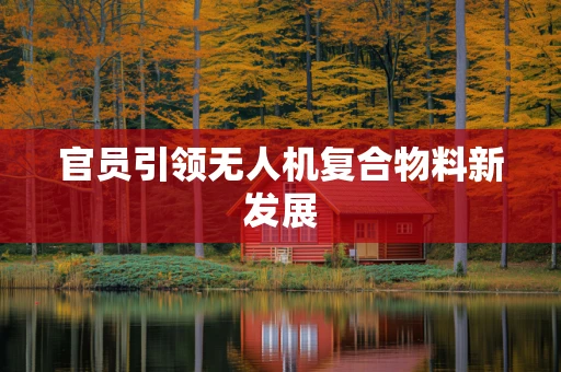 官员引领无人机复合物料新发展